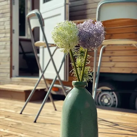 Casa vacanze Tiny House Fleesensee *